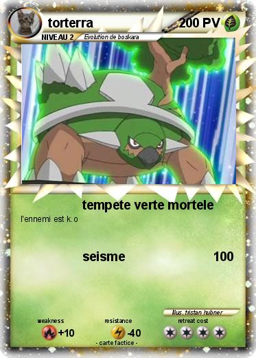 Pokemon torterra