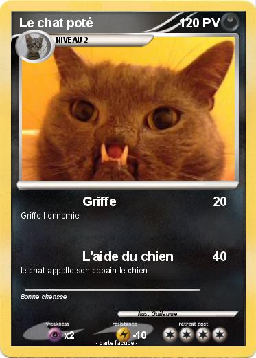 Pokemon Le chat poté
