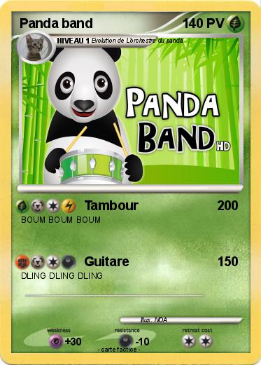 Pokemon Panda band
