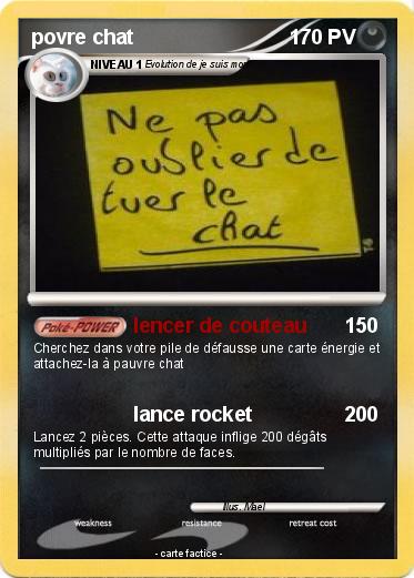Pokemon povre chat