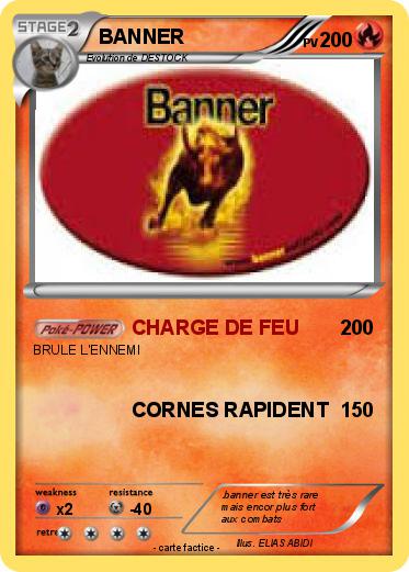 Pokemon BANNER