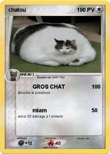 Pokemon chatou
