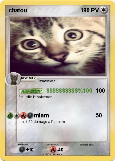 Pokemon chatou