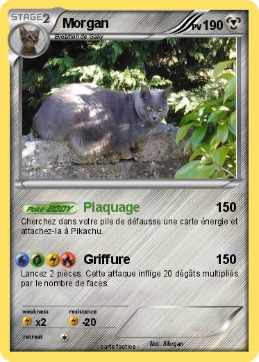 Pokemon Morgan