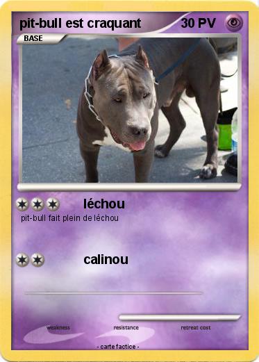 Pokemon pit-bull est craquant
