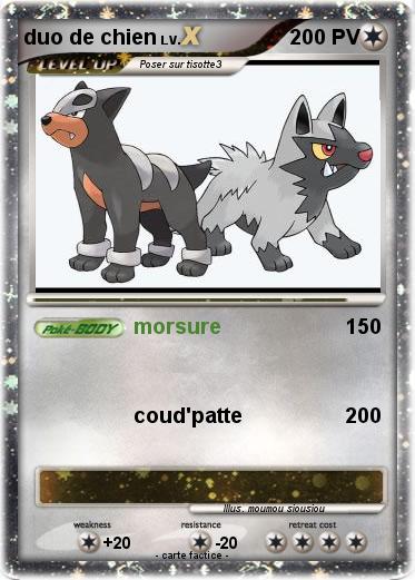 Pokemon duo de chien