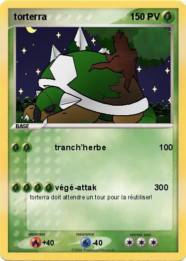 Pokemon torterra