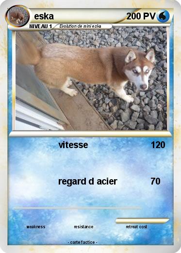 Pokemon eska