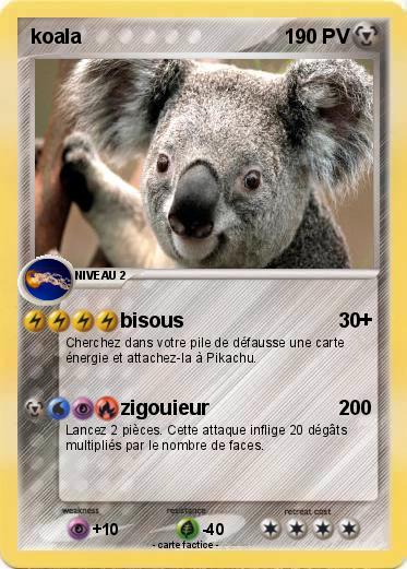 Pokemon koala