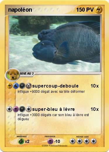 Pokemon napoléon