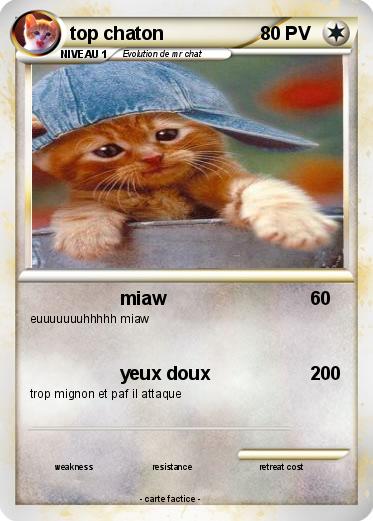 Pokemon top chaton