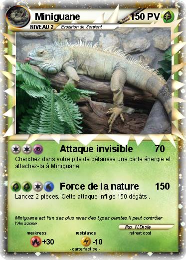 Pokemon Miniguane
