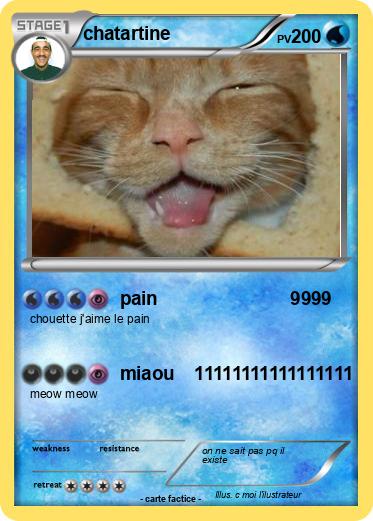 Pokemon chatartine