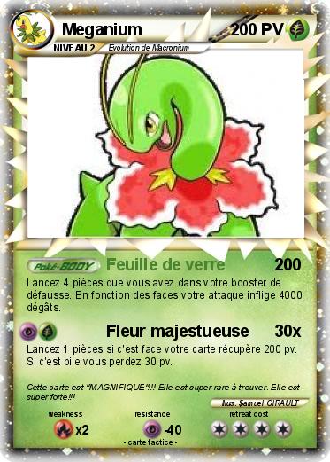 Pokemon Meganium