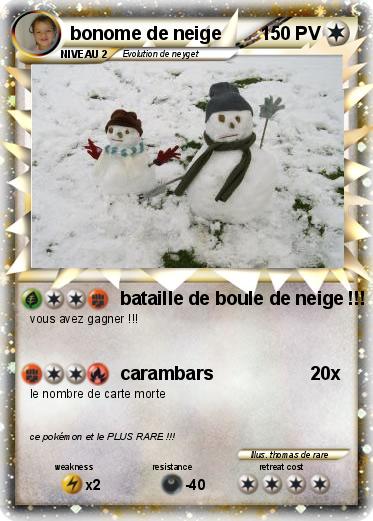 Pokemon bonome de neige