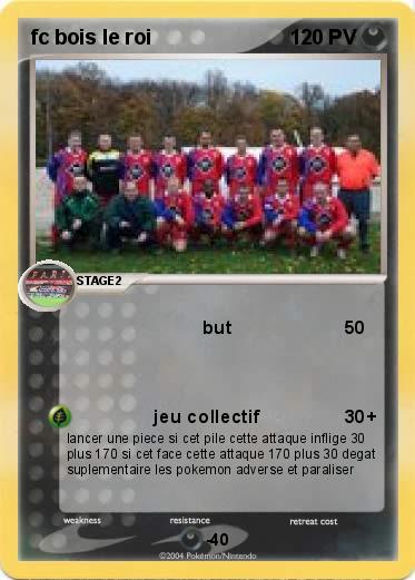 Pokemon fc bois le roi