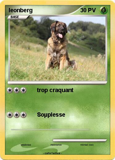 Pokemon leonberg