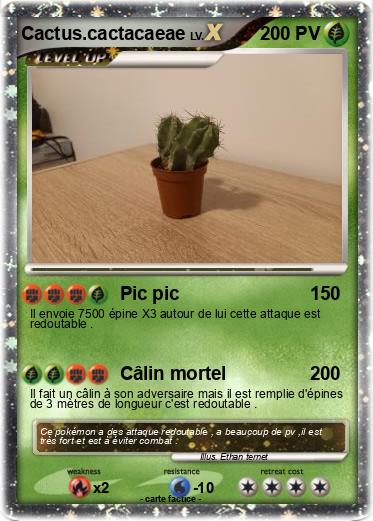 Pokemon Cactus.cactacaeae