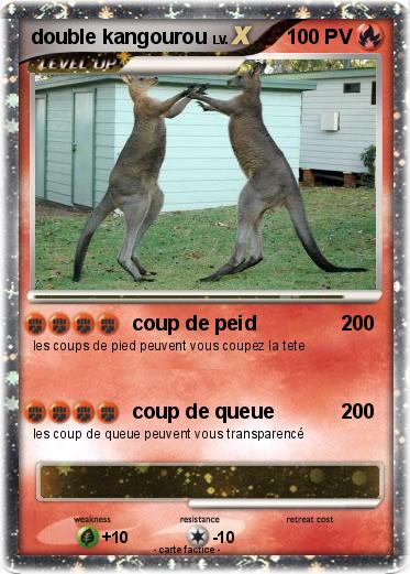 Pokemon double kangourou
