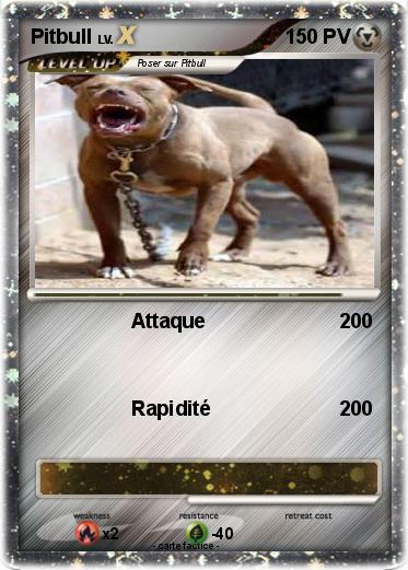 Pokemon Pitbull