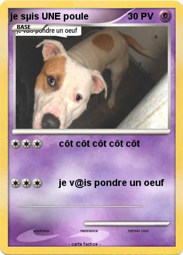 Pokemon je sµis UNE poule