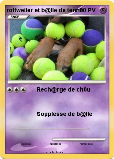 Pokemon rottweiler et b@lle de tennis