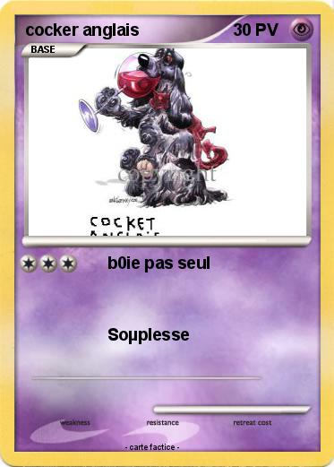Pokemon cocker anglais