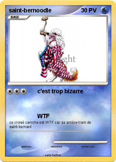 Pokemon saint-bernoodle