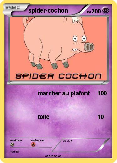Pokemon spider-cochon