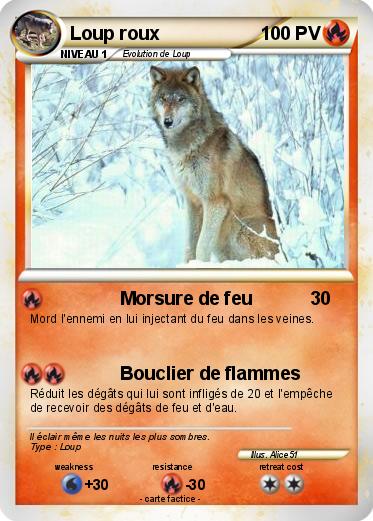Pokemon Loup roux