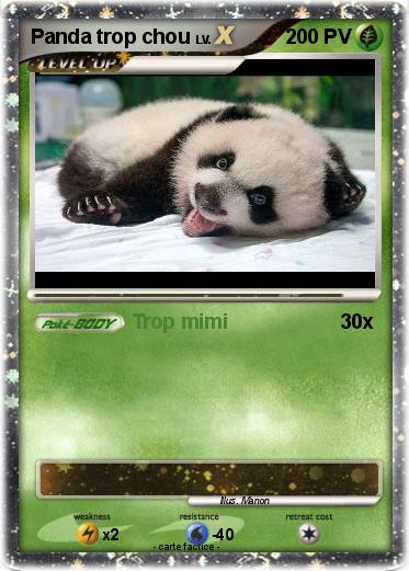 Pokemon Panda trop chou