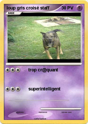 Pokemon loup gris croisé staff