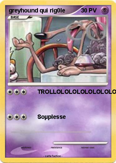 Pokemon greyhound qui rig0le