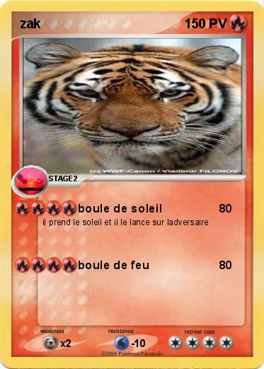 Pokemon zak