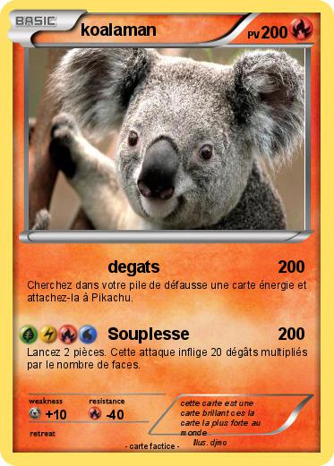 Pokemon koalaman