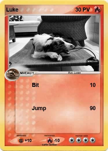 Pokemon Luke