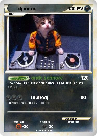 Pokemon dj milou