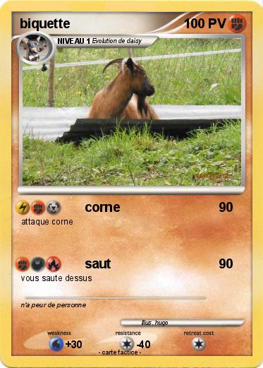 Pokemon biquette