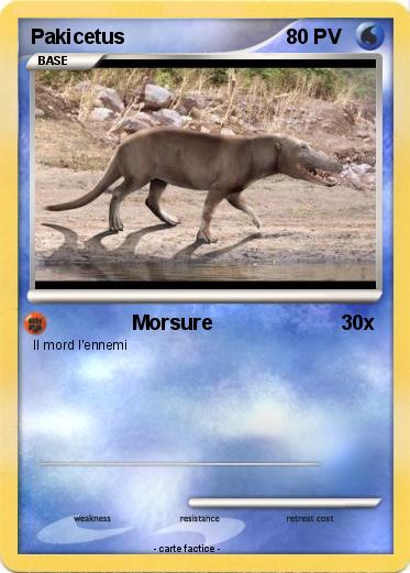 Pokemon Pakicetus