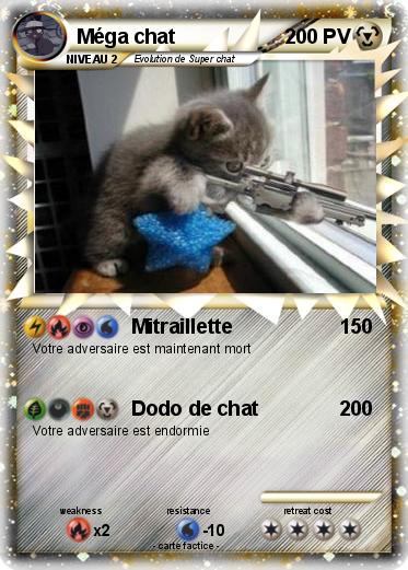 Pokemon Méga chat