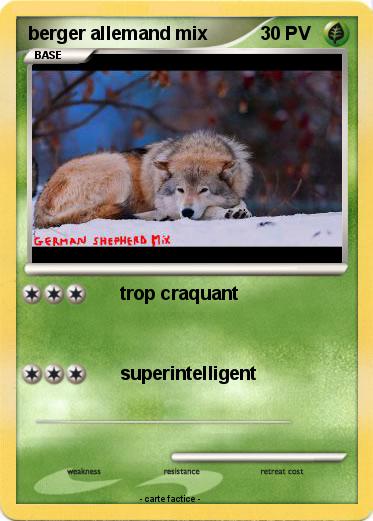 Pokemon berger allemand mix