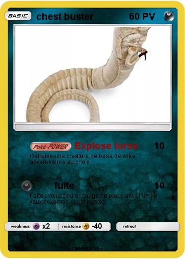 Pokemon chest buster