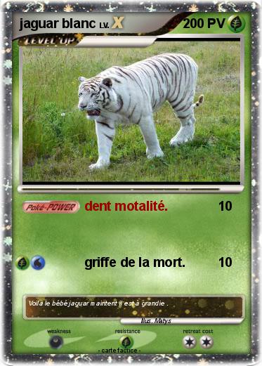 Pokemon jaguar blanc