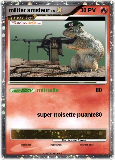Pokemon militer amsteur