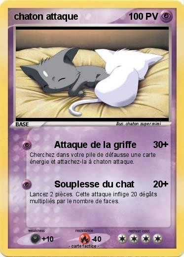Pokemon chaton attaque