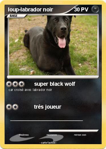 Pokemon loup-labrador noir