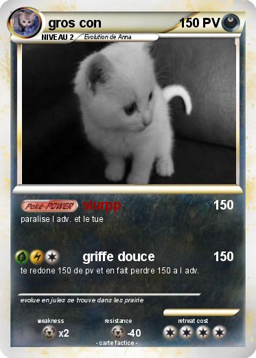 Pokemon gros con