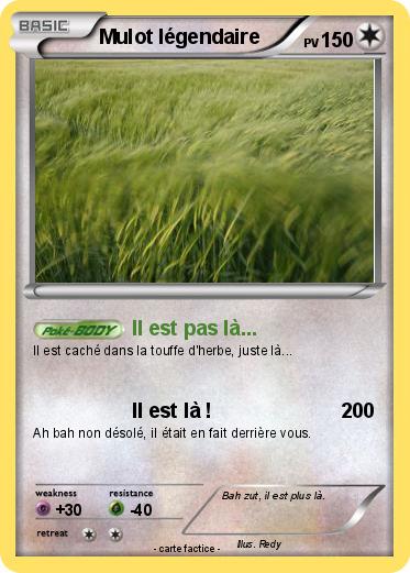 Pokemon Mulot légendaire