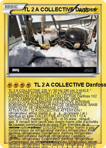 Pokemon TL 2 A COLLECTIVE Danfoss