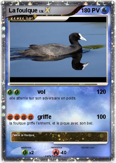 Pokemon La foulque